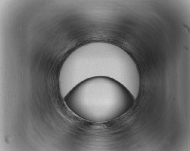 X0000099960215200805231035