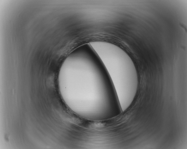 X0000099960217200805231035