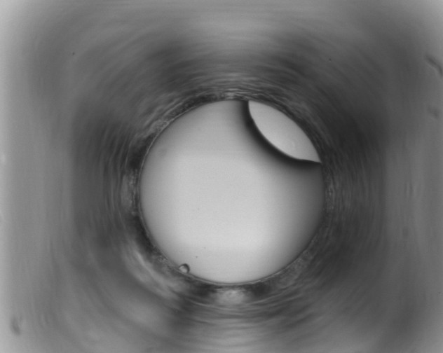 X0000099960218200805231035