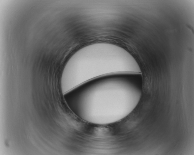 X0000099960220200805231035