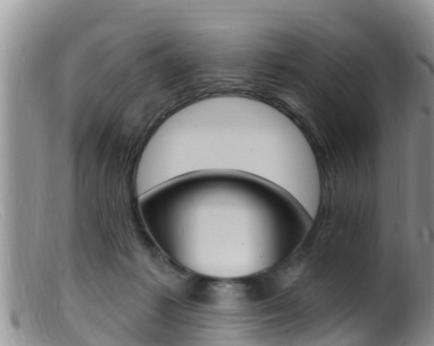 X0000099960221200805231035