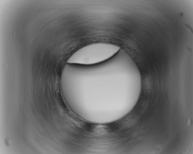 X0000099960222200805231035