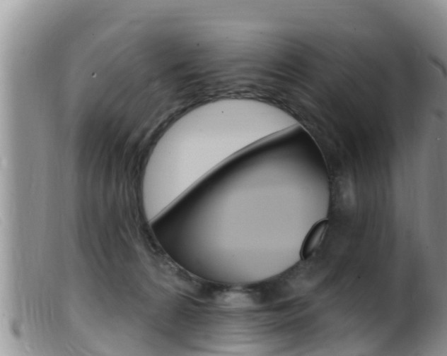 X0000099960224200805231034