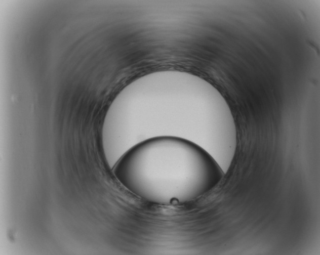 X0000099960229200805231034