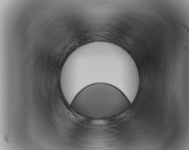 X0000099960231200805231034