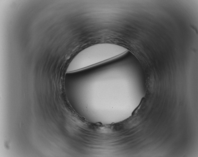 X0000099960232200805231034