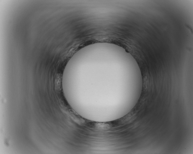 X0000099960234200805231034