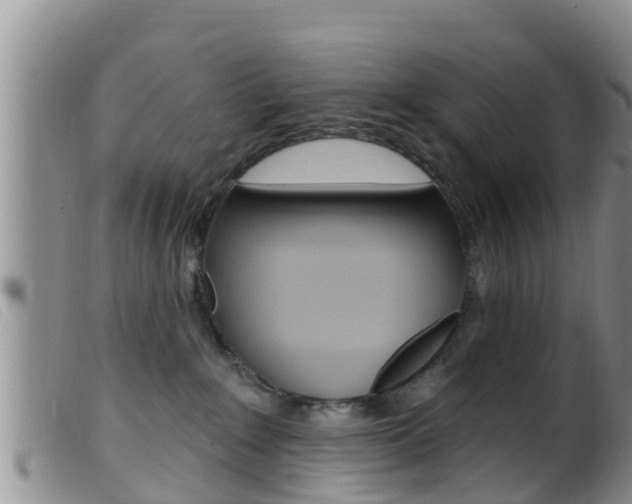X0000099960235200805231034