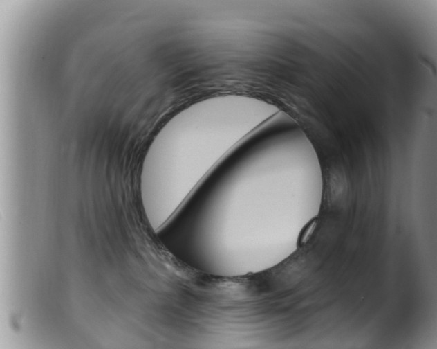 X0000099960236200805231034