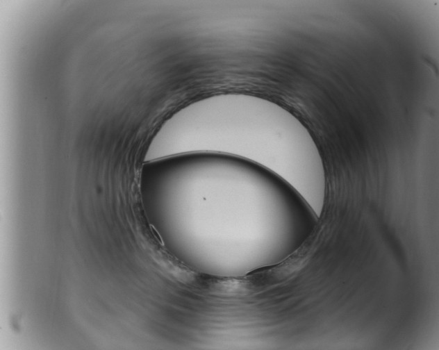X0000099960237200805231034