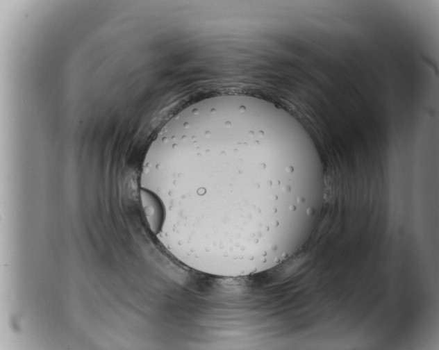 X0000099960238200805231034