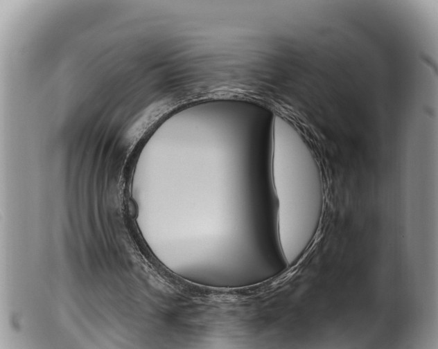 X0000099960242200805231033