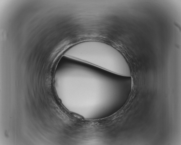 X0000099960243200805231033