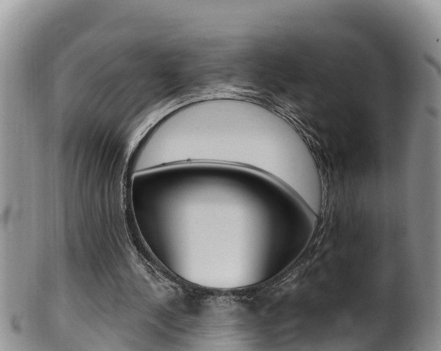 X0000099960244200805231033