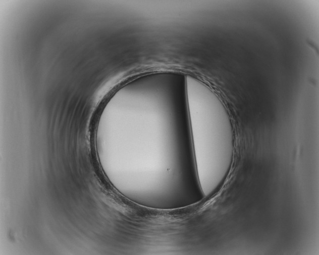 X0000099960246200805231033