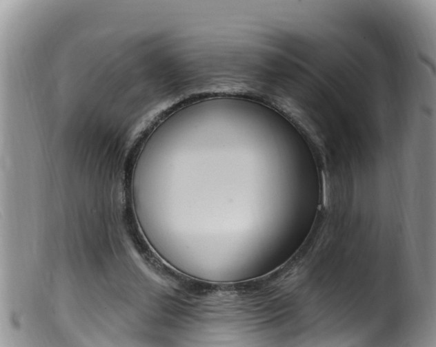 X0000099960252200805231033