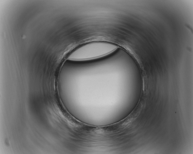 X0000099960253200805231033