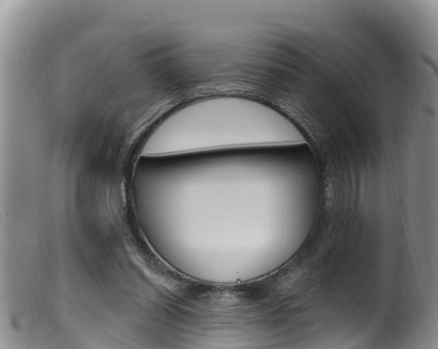 X0000099960254200805231033