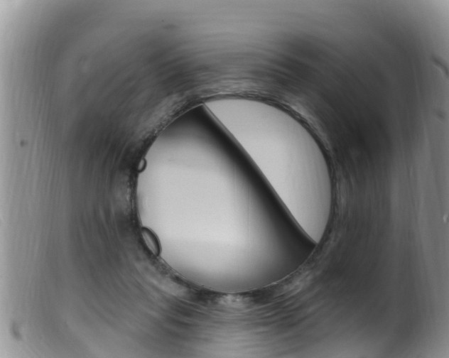 X0000099960261200805231034