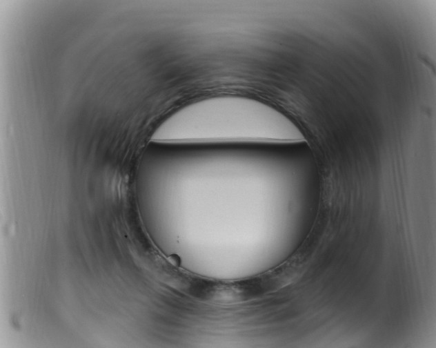 X0000099960263200805231034