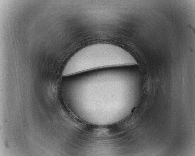 X0000099960266200805231034