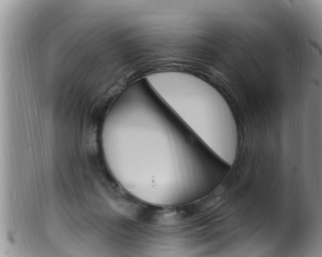 X0000099960267200805231034