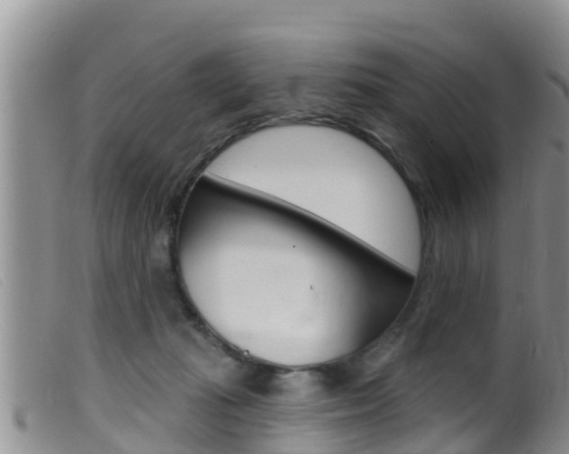 X0000099960269200805231034