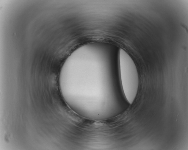 X0000099960270200805231034