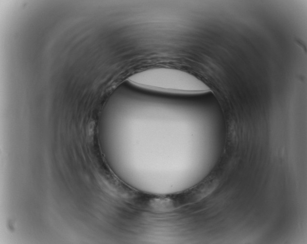 X0000099960271200805231034