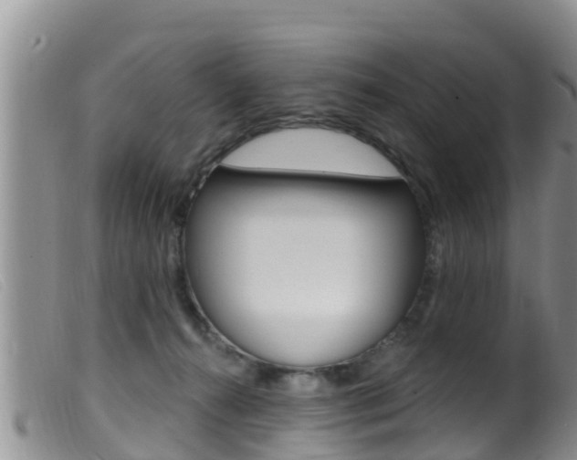 X0000099960272200805231034