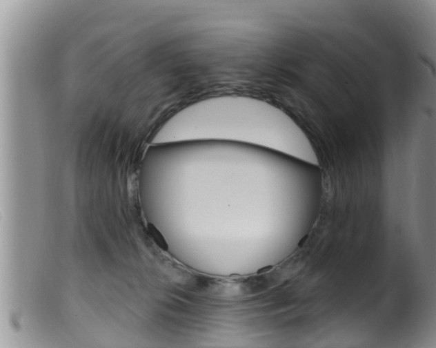 X0000099960276200805231034