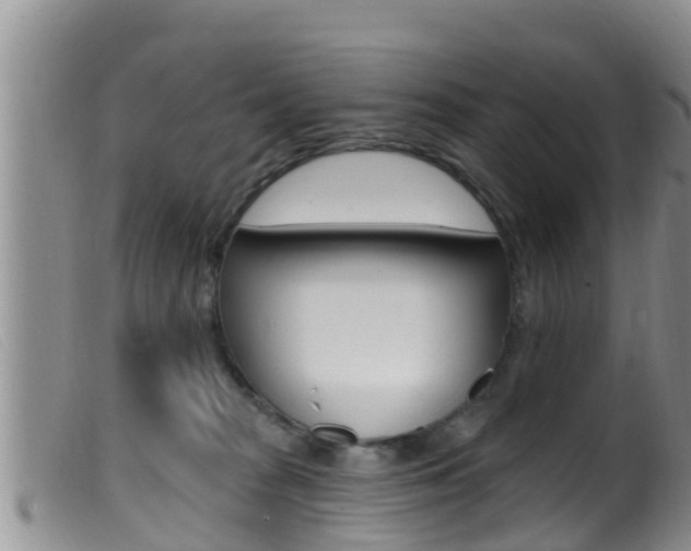 X0000099960277200805231034