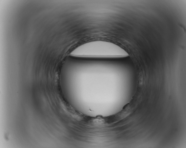 X0000099960279200805231034
