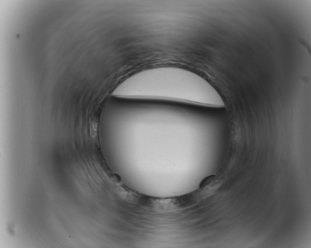 X0000099960281200805231034