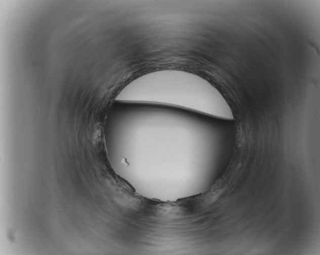 X0000099960284200805231034