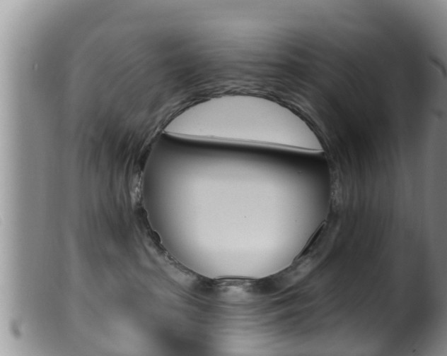 X0000099960285200805231034