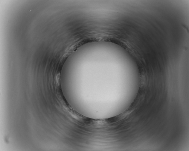 X0000099960286200805231034