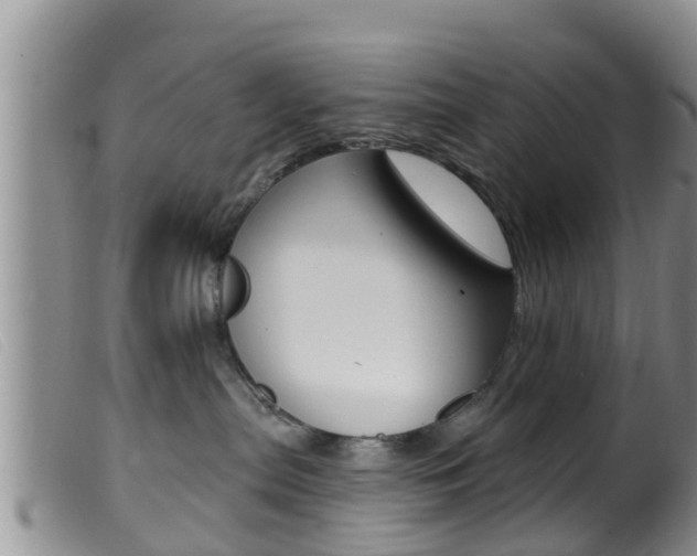 X0000099960287200805231034