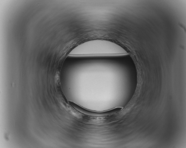 X0000099960288200805231034