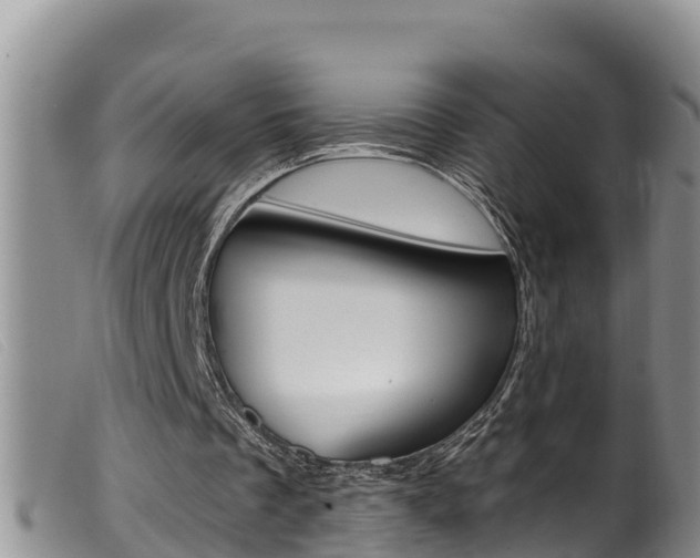 X0000099960289200805231033