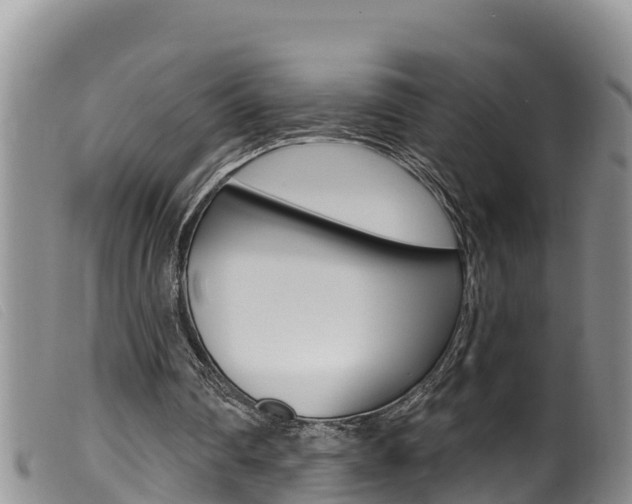 X0000099960290200805231033