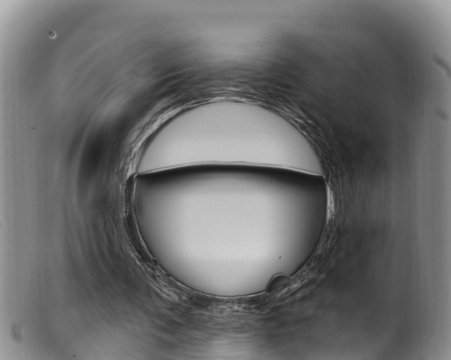 X0000099960291200805231033