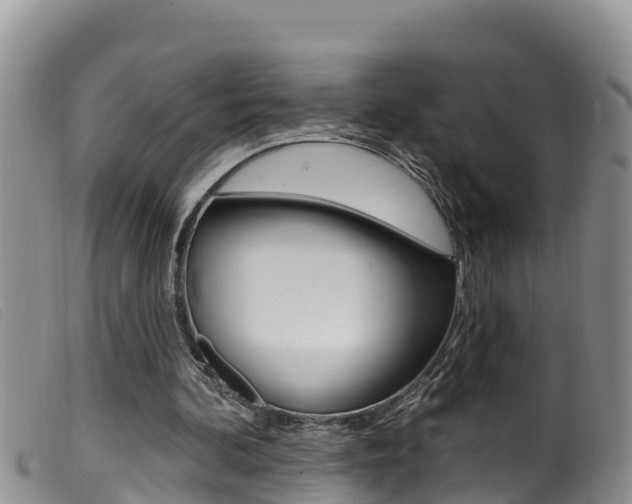 X0000099960292200805231033
