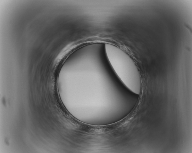 X0000099960295200805231033