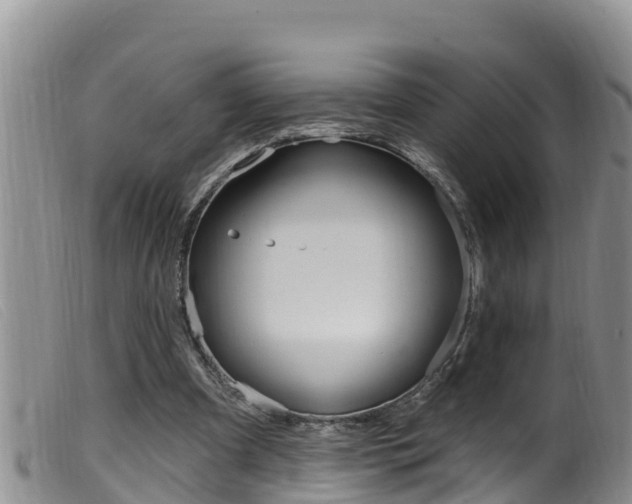 X0000099960297200805231033