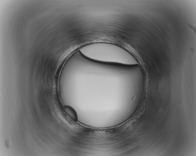 X0000099960298200805231033