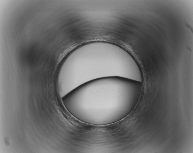 X0000099960299200805231033