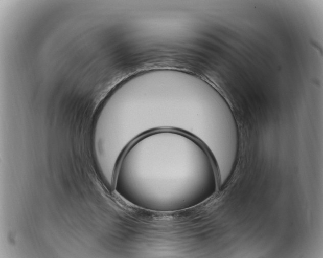 X0000099960301200805231033