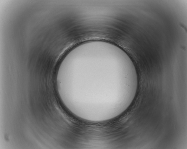 X0000099960304200805231033