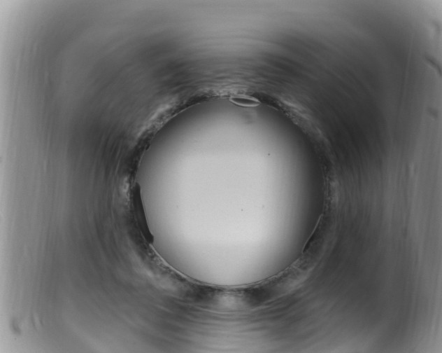 X0000099960308200805231033